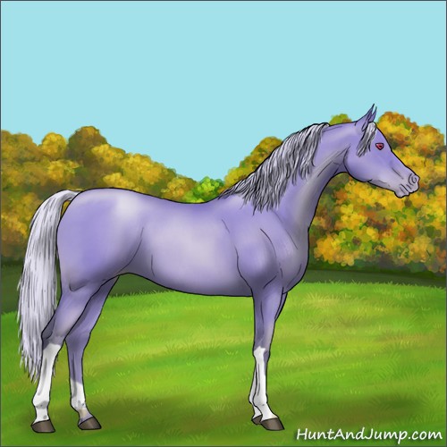 Horse Color:Silver Black Chinchilla Pearl 