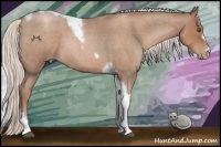 Horse Color:Silver Blue Roan Pearl Tobiano Frame 