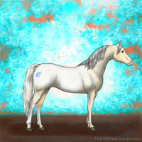Horse Color:Palomino Appaloosa