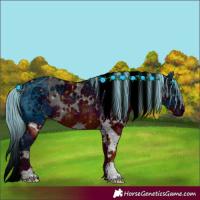 Horse Color:ERROR: UNKNOWN ANOMALY