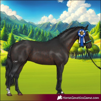 Horse Color:Brown 