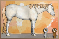 Horse Color:Buckskin Pearl Dun Sabino Rabicano