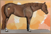 Horse Color:Chestnut Sabino Tobiano 