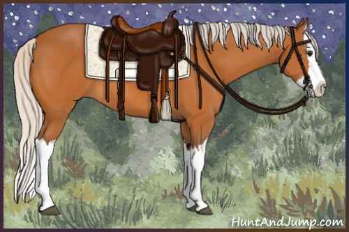 Horse Color:Silver Buckskin Splash 