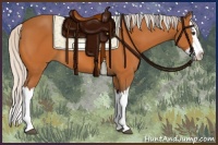 Horse Color:Silver Buckskin Splash 