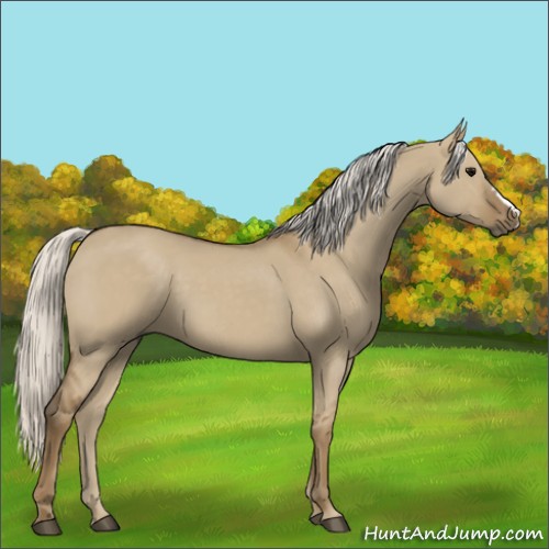 Horse Color:Silver Smoky Grullo 