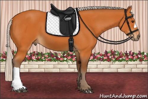 Horse Color:Silver Buckskin 
