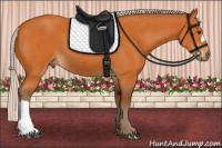 Horse Color:Silver Buckskin 