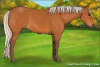 Horse Color:Silver Buckskin 