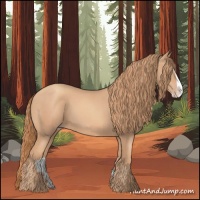 Horse Color:Gold Champagne Splash 