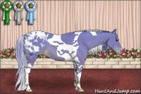 Horse Color:Watercolor Chestnut Tobiano Appaloosa 