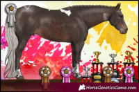 Horse Color:Silver Brown Sabino Tobiano