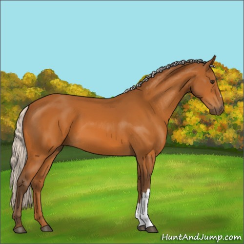Horse Color:Silver Buckskin 