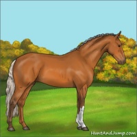 Horse Color:Silver Buckskin 