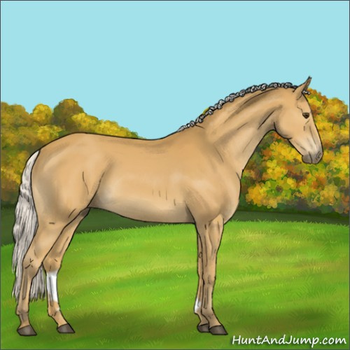 Horse Color:Silver Buckskin 