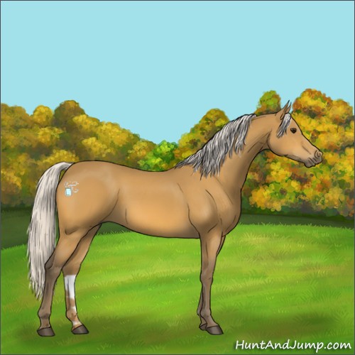 Horse Color:Silver Buckskin 
