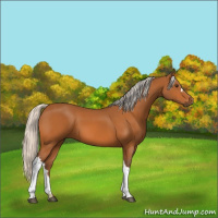 Horse Color:Silver Buckskin 
