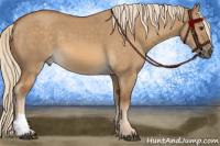 Horse Color:Chocolate Palomino Dun 