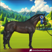 Horse Color:Brown 