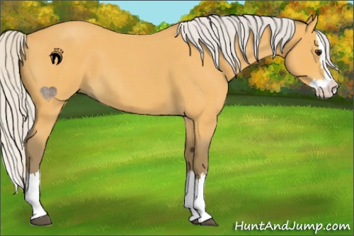 Horse Color:Silver Buckskin Roan Splash 