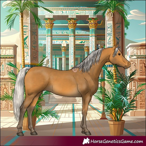 Horse Color:Silver Buckskin 