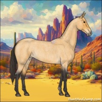 Horse Color:Buckskin Roan 