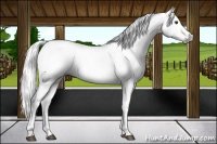 Horse Color:Gray Chestnut Tobiano