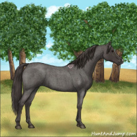 Horse Color:Smoky Blue Roan