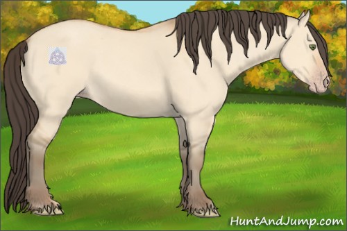 Horse Color:Amber Champagne Dun 
