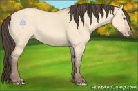 Horse Color:Amber Champagne Dun