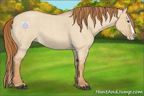 Horse Color:Red Dun Roan Splash 