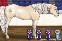 Horse Color:Silver Smoky Black Pearl