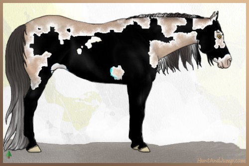 Horse Color:Amber Champagne Roan Splash Frame 