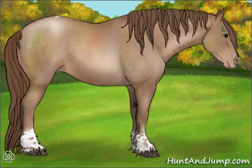 Horse Color:Brown Roan Pearl Tobiano 