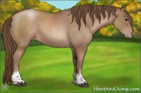Horse Color:Brown Roan Pearl Tobiano 