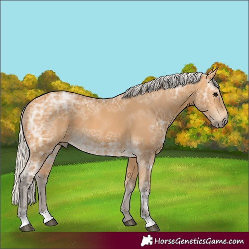 Horse Color:Silver Buckskin Ice 