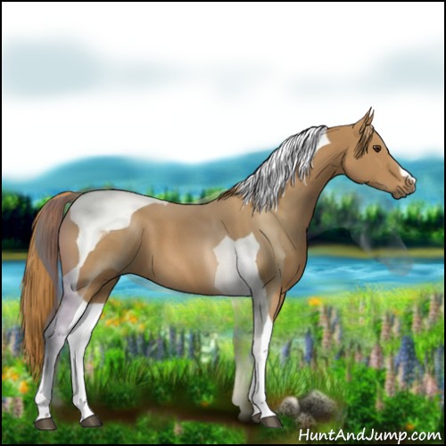 Horse Color:Chestnut Tobiano 