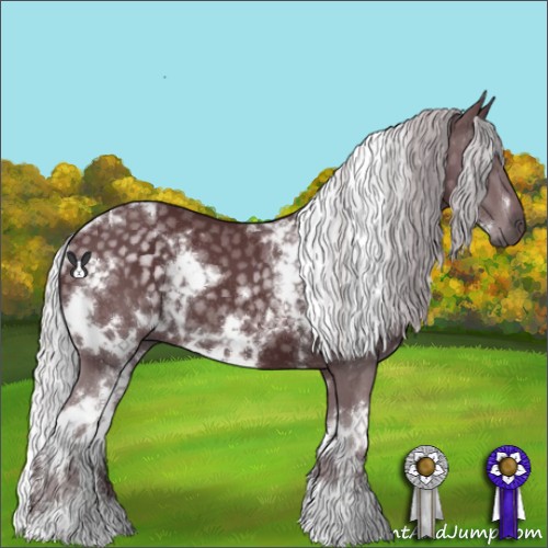 Horse Color:White Spotted Chocolate Silver Black Chinchilla