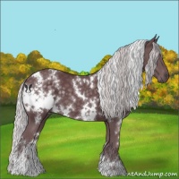 Horse Color:White Spotted Chocolate Silver Black Chinchilla 