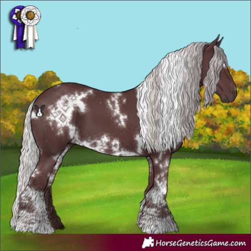 Horse Color:White Spotted Chocolate Silver Black Chinchilla 