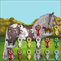 Horse Color:White Spotted Chocolate Silver Black Chinchilla 