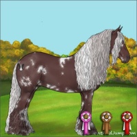 Horse Color:White Spotted Chocolate Silver Black Chinchilla 