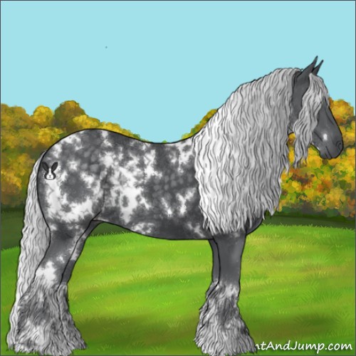 Horse Color:White Spotted Silver Black Chinchilla 