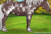 Horse Color:White Spotted Chocolate Silver Black Chinchilla 