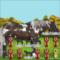 Horse Color:White Spotted Silver Brown 