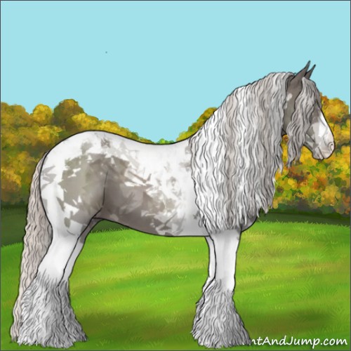 Horse Color:Silver Black Tobiano 