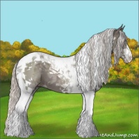 Horse Color:Silver Black Tobiano 