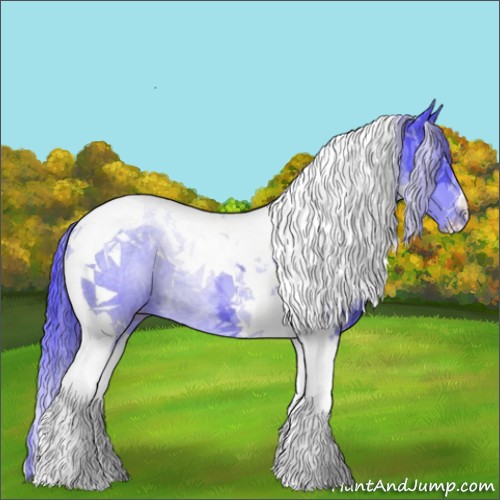 Horse Color:Watercolor Black Tobiano 