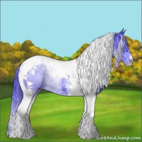 Horse Color:Watercolor Black Tobiano 