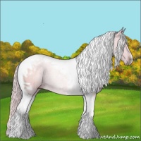 Horse Color:Watercolor Silver Grullo Tobiano 